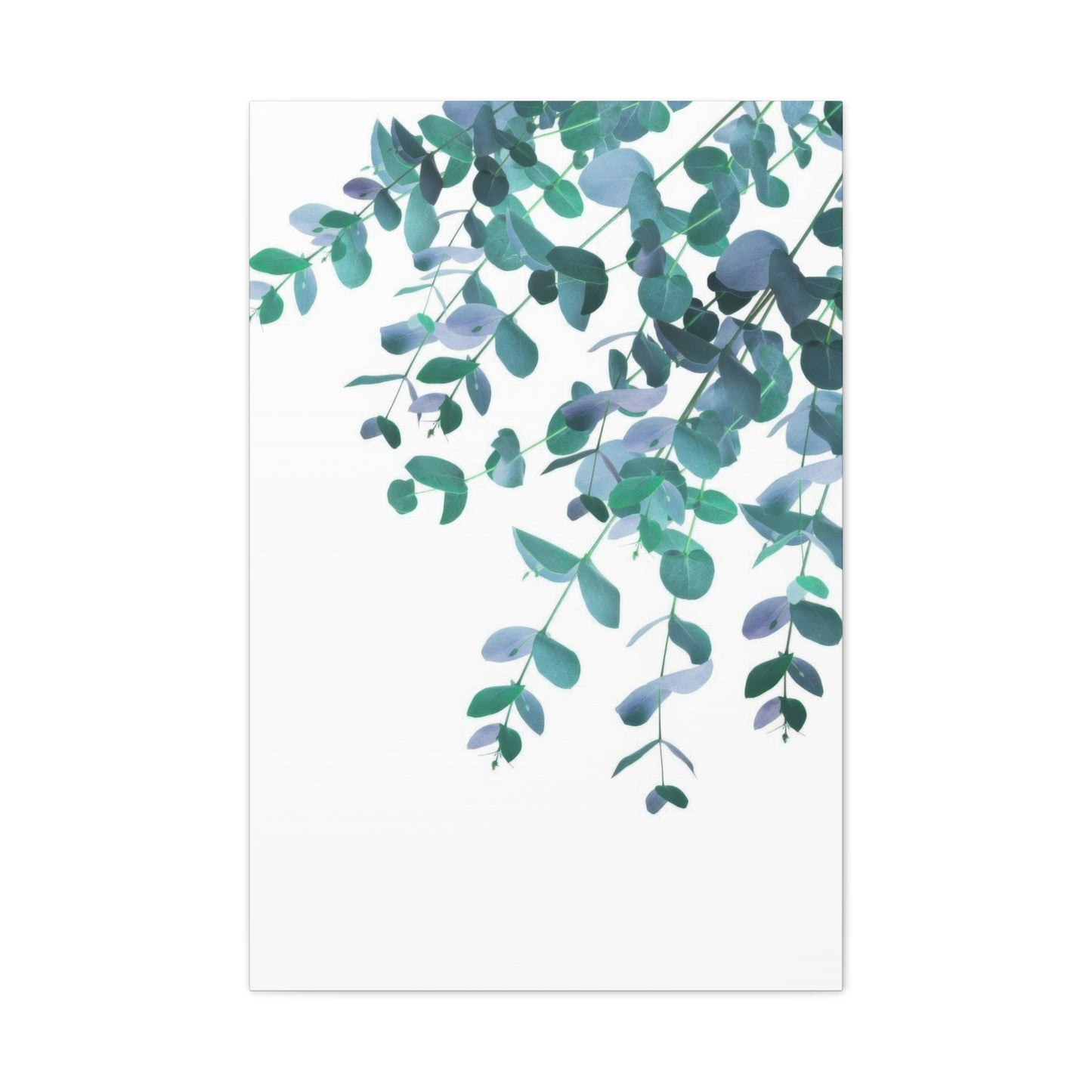 Eucalyptus Creeping Down Top Right Wall Art & Canvas Prints
