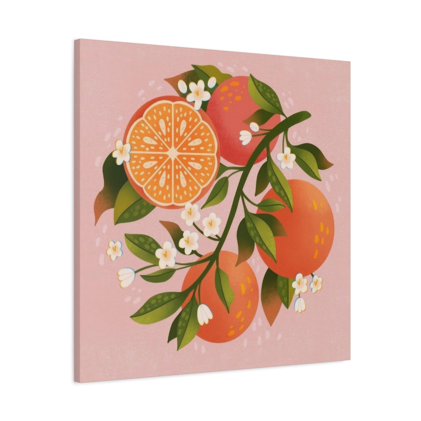 Oranges Pink BG Wall Art & Canvas Prints