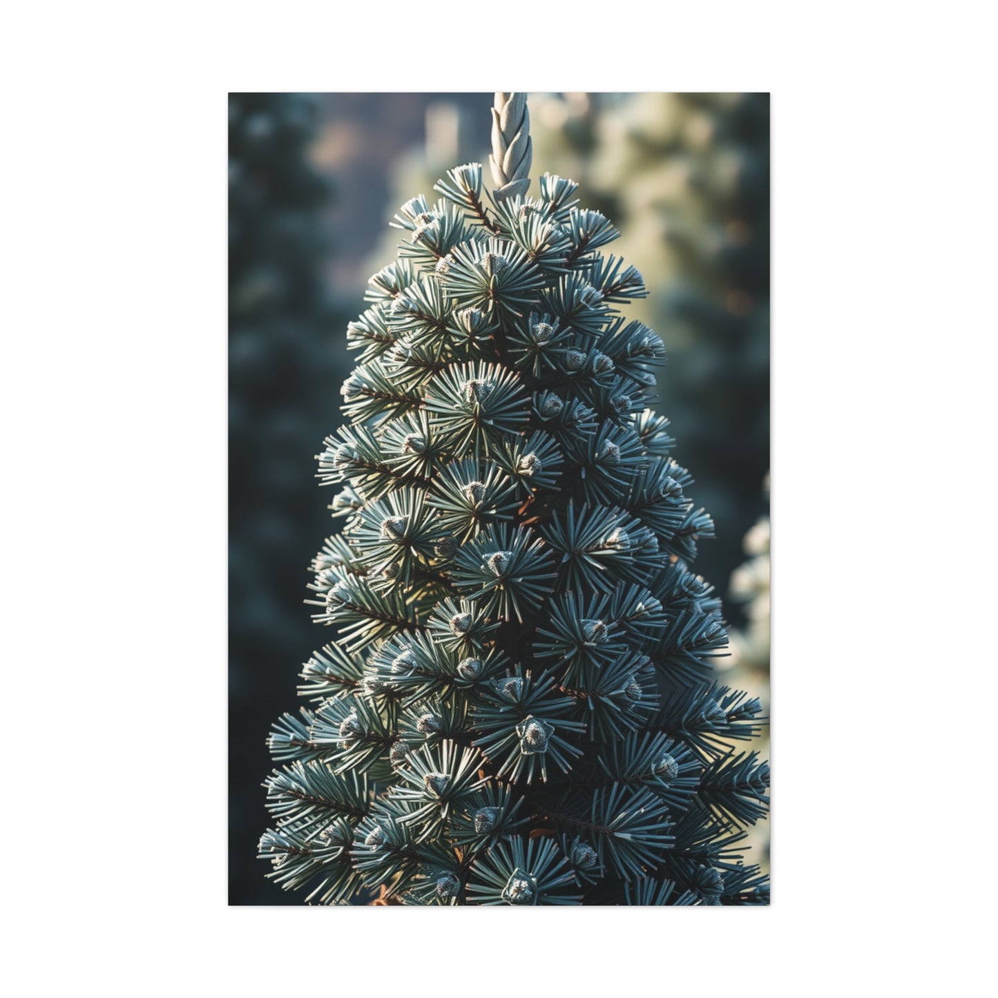 Collection Pine Tree Art Art Wall Art & Canvas Print