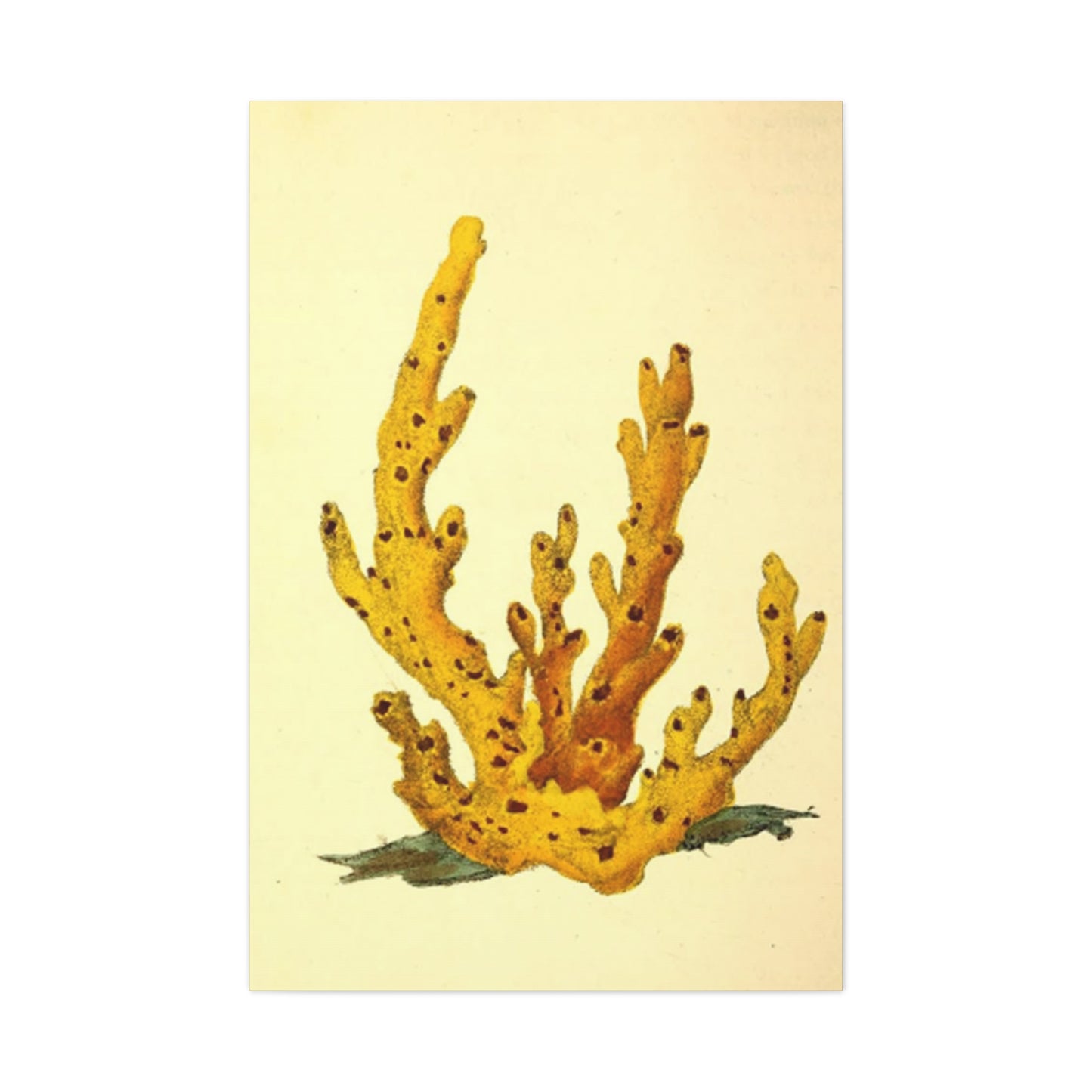 Yellow Shell Stem Painting Wall Art & Canvas Prints