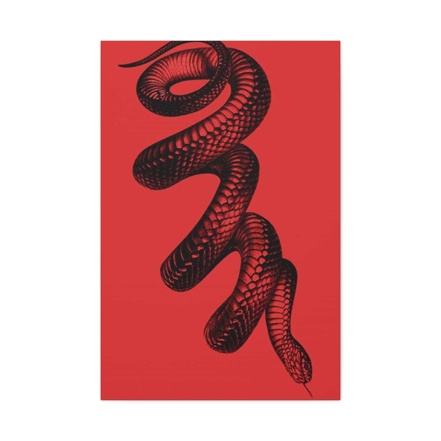 Snake On Red Wall Art & Canvas Prints
