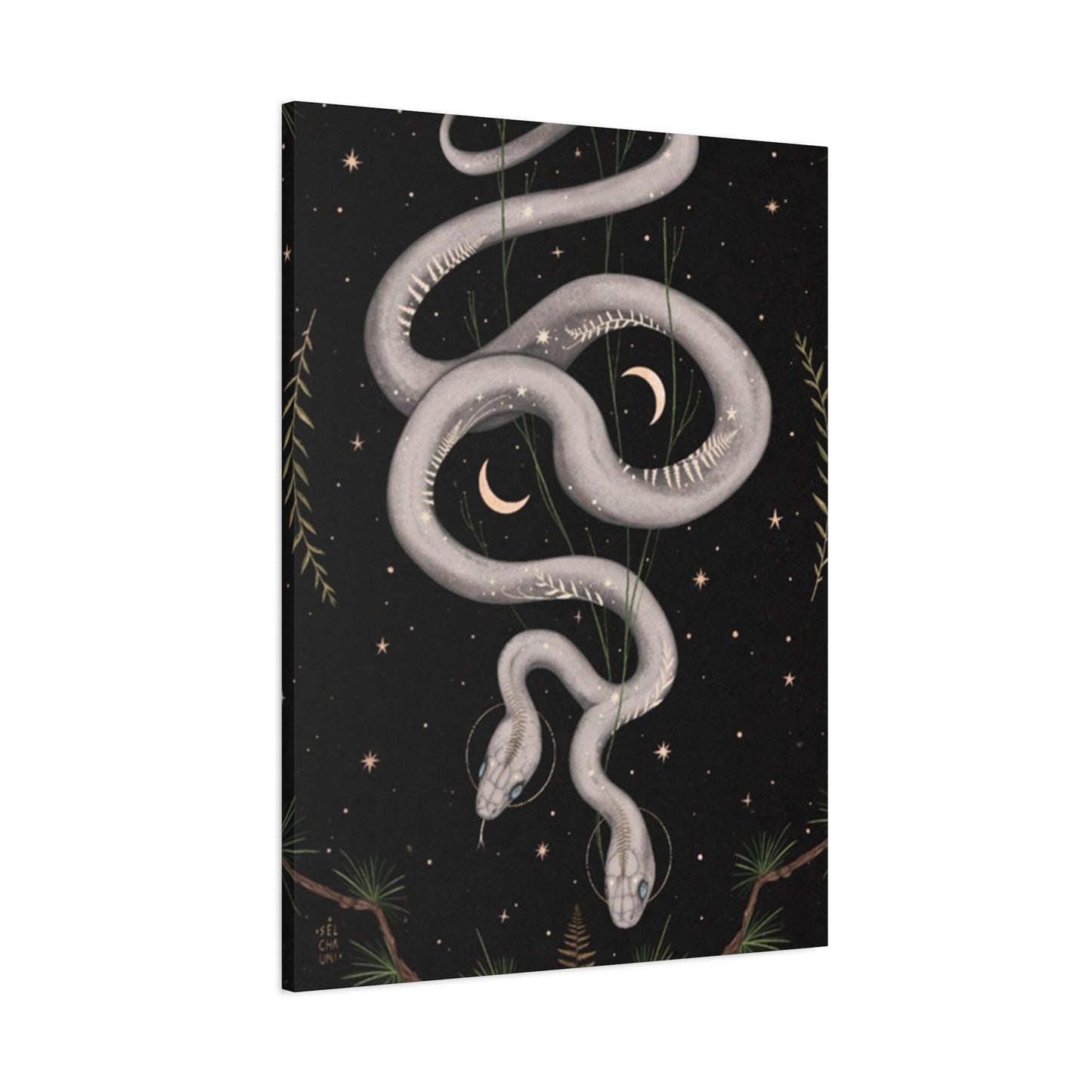Two Faced Snake Wall Art & Canvas Prints