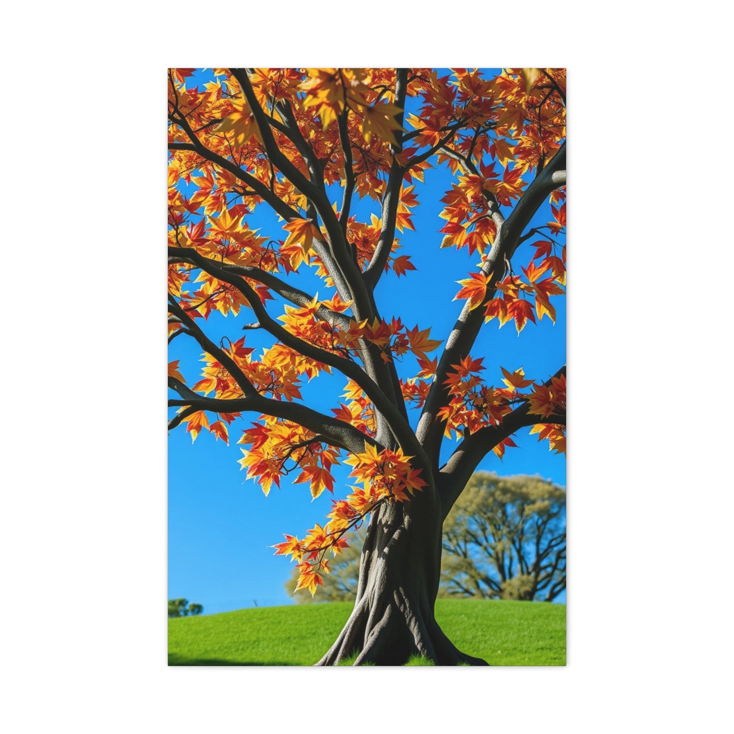 Supreme Maple Tree Art Collection Wall Art & Canvas Print