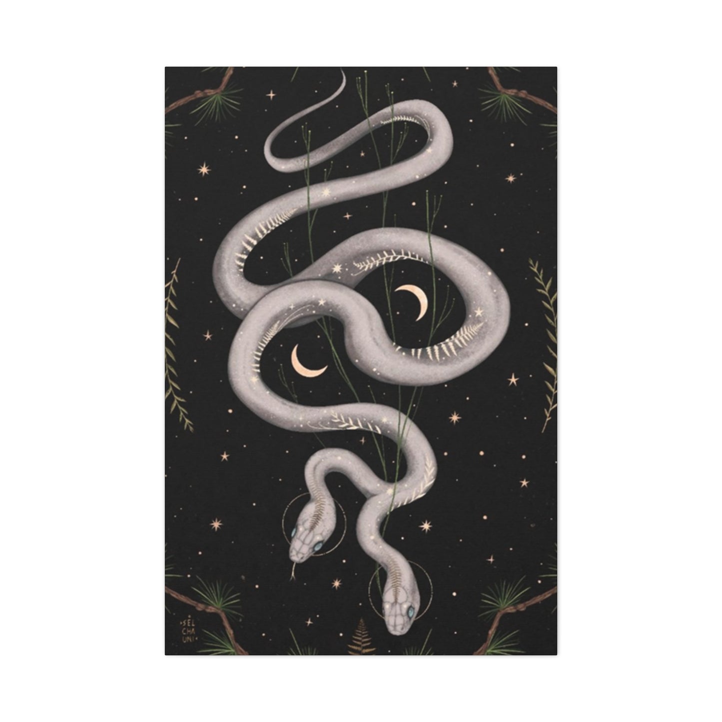 Two Faced Snake Wall Art & Canvas Prints