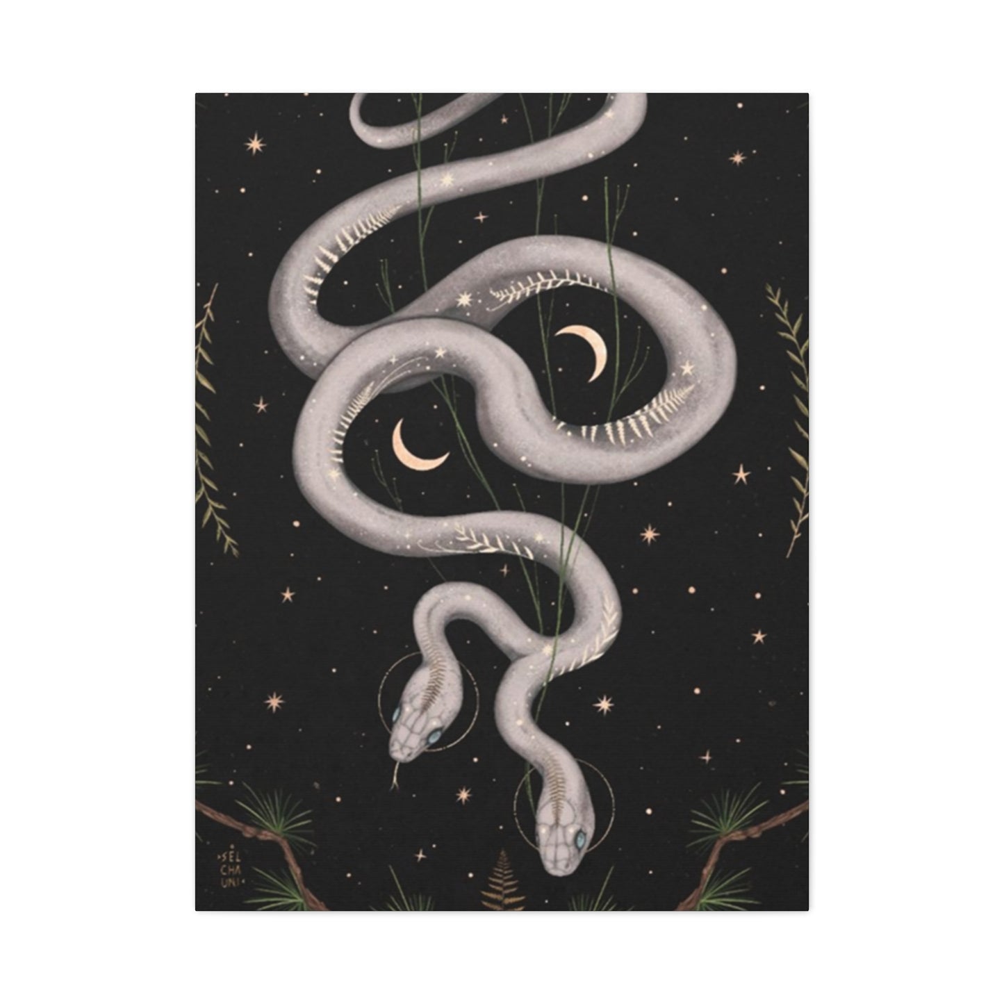 Two Faced Snake Wall Art & Canvas Prints