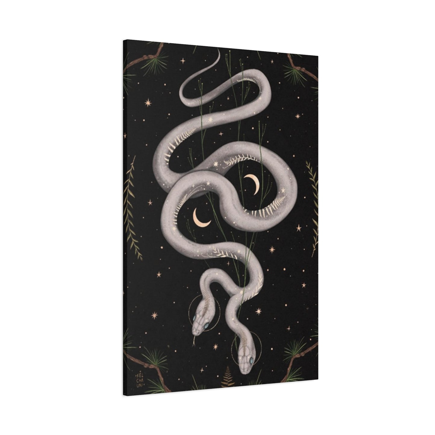 Two Faced Snake Wall Art & Canvas Prints