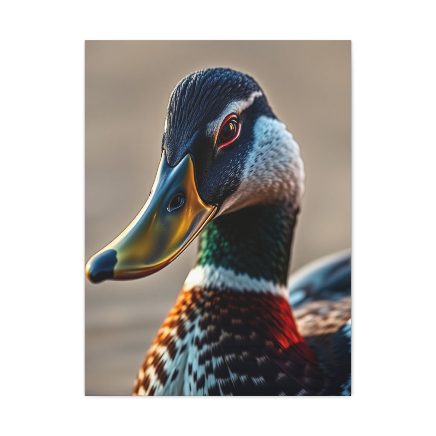 Duck Art Refined Canvas Wall Art & Canvas Print