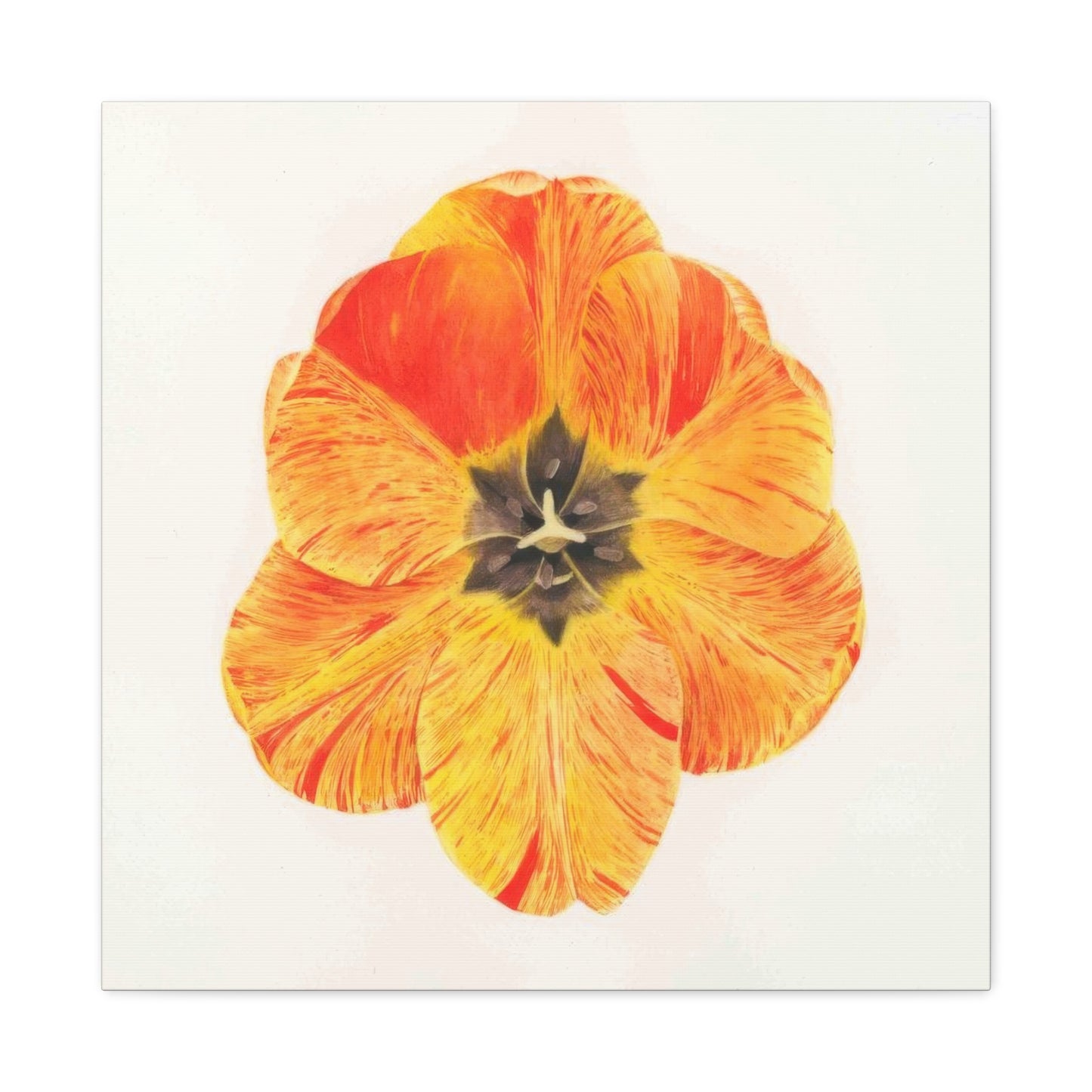 Grace Popp Orange Flower Head Wall Art & Canvas Prints
