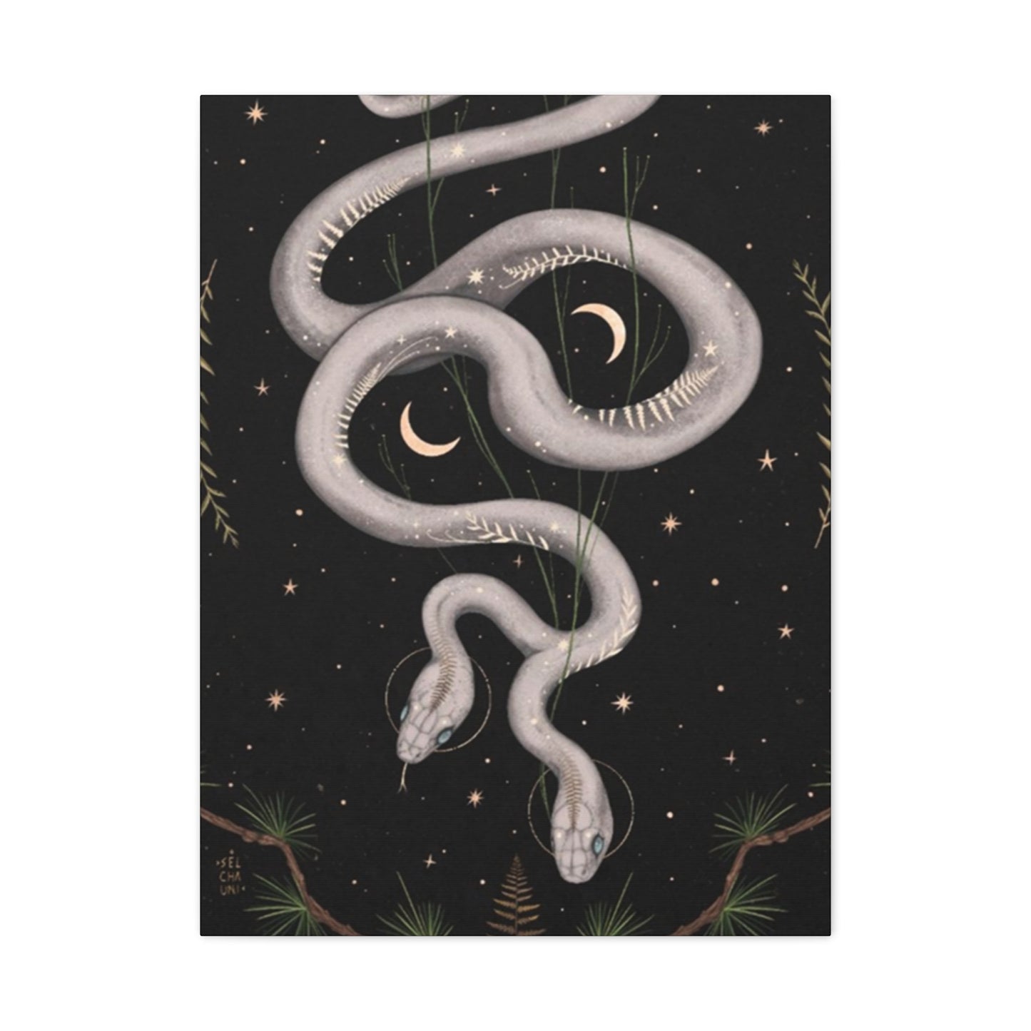 Two Faced Snake Wall Art & Canvas Prints