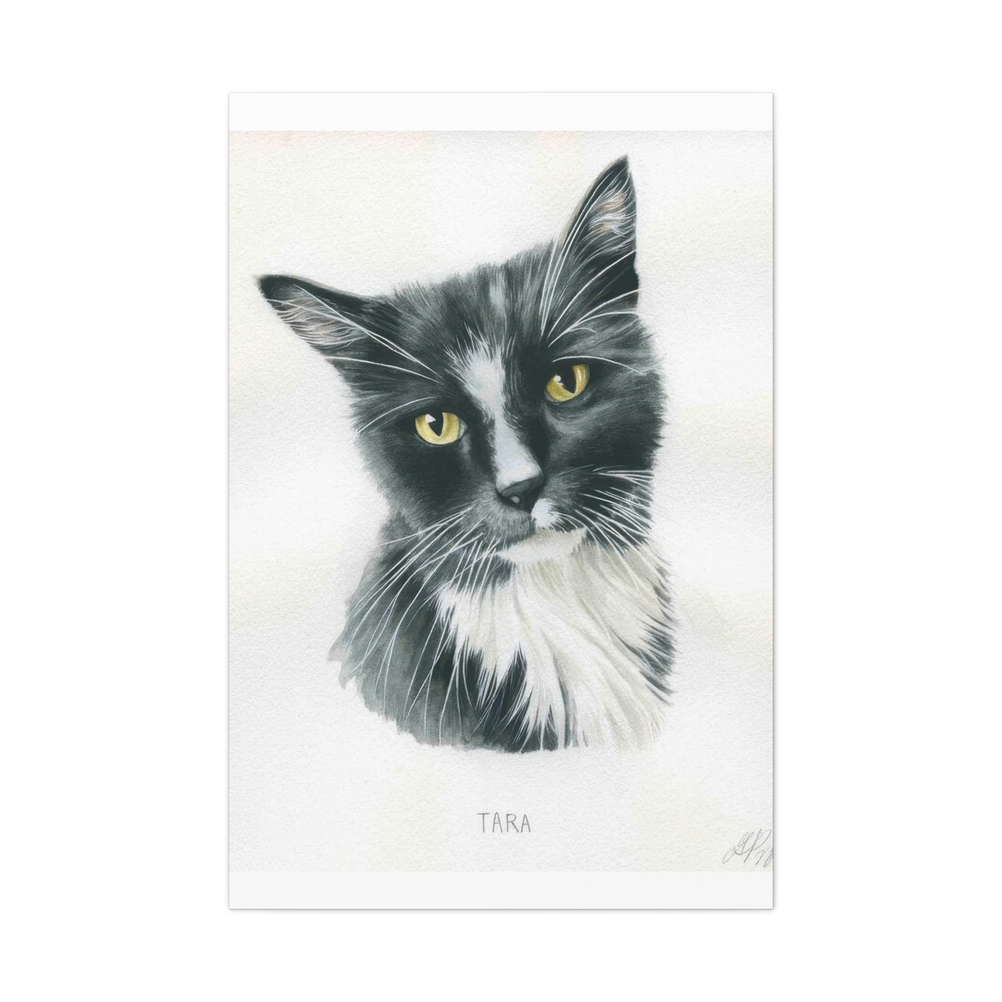Grace Popp Tara The Cat Wall Art & Canvas Prints