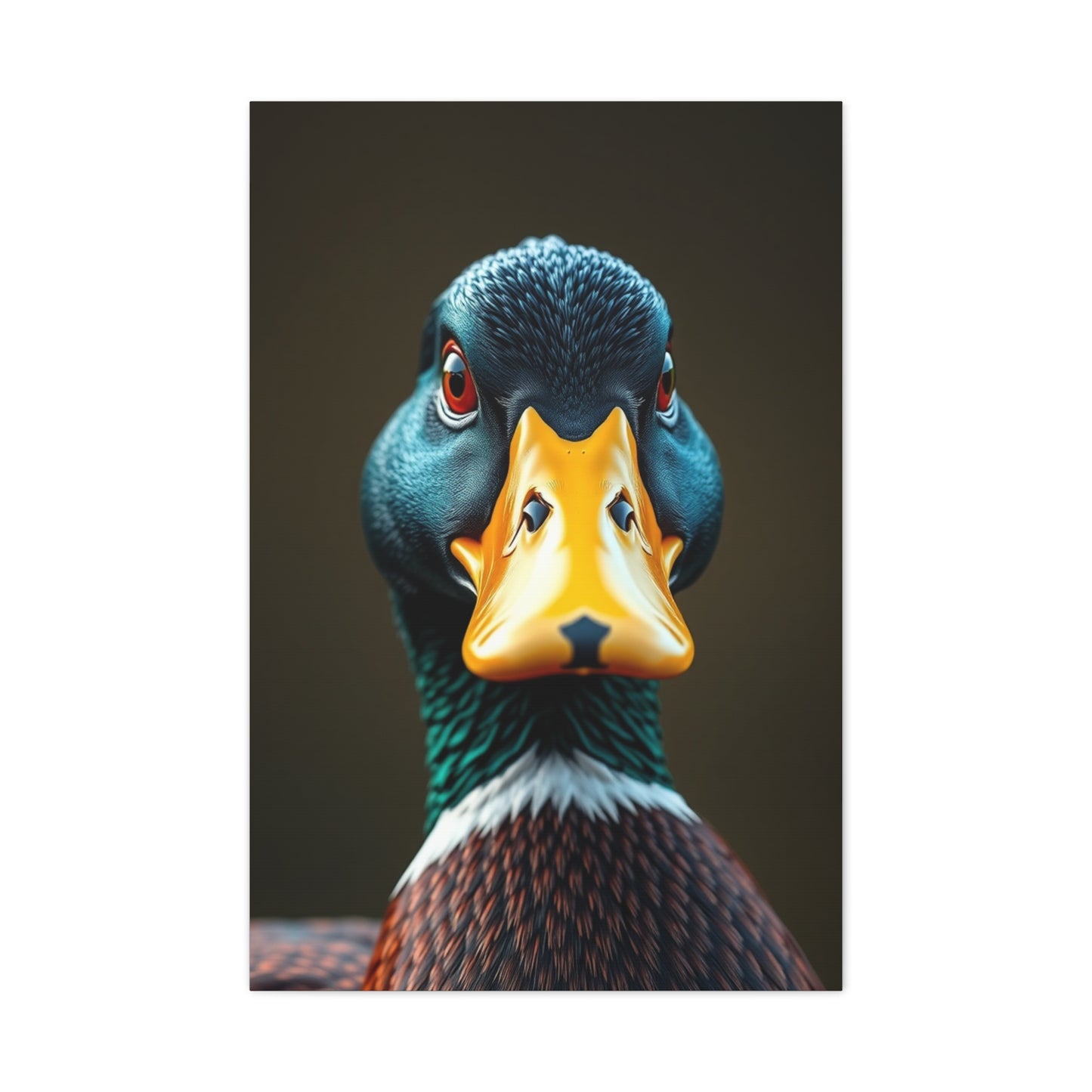 Elite Duck Art Vision Wall Art & Canvas Print