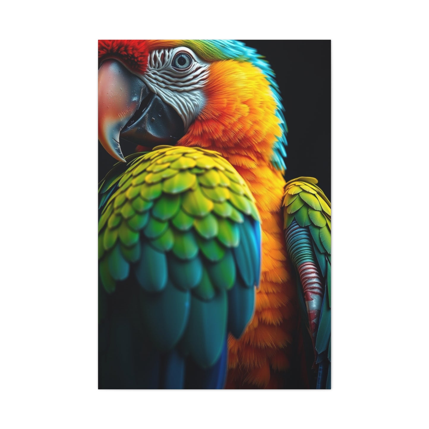 Collection Parrot Art Art Wall Art & Canvas Print