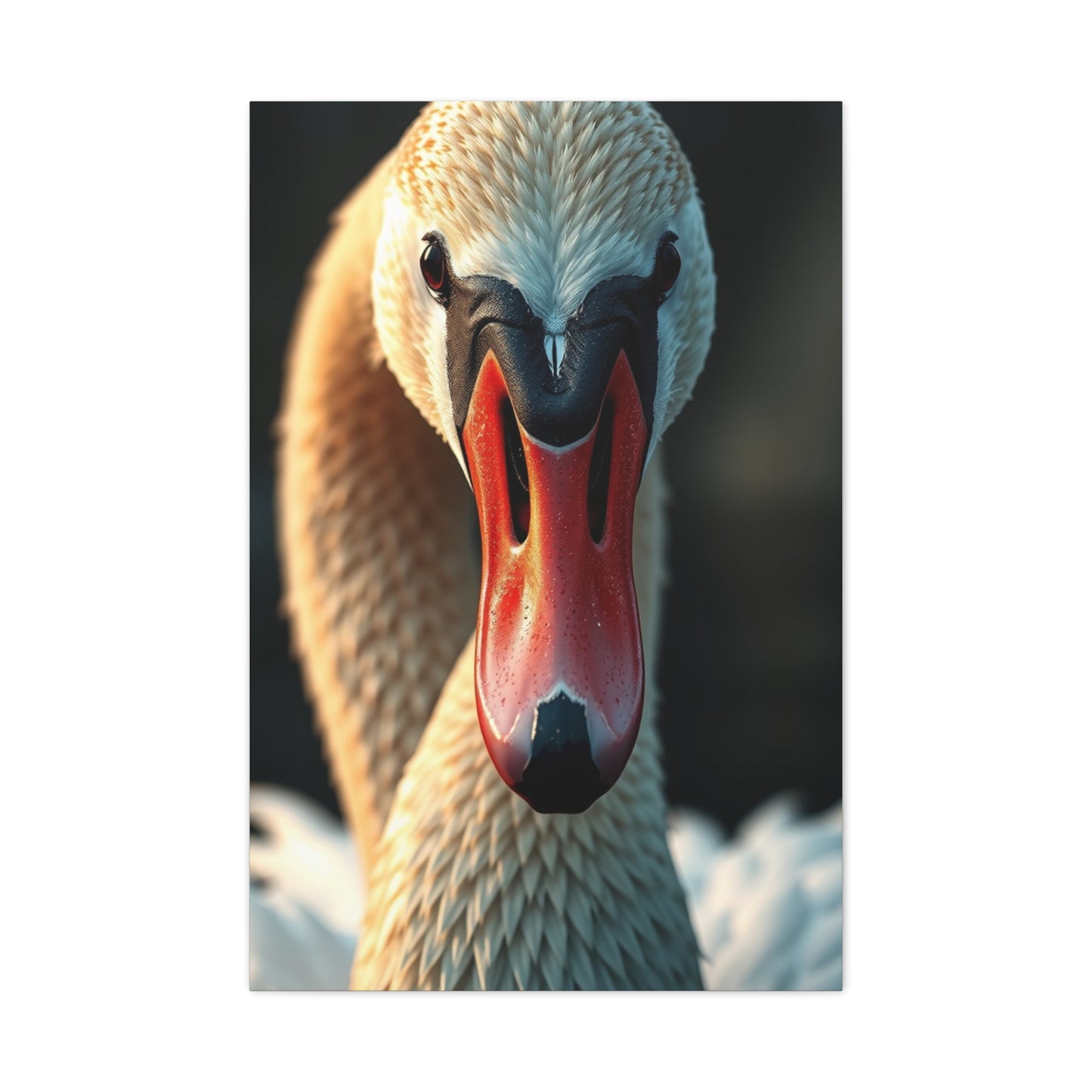 Swan Art Refined Canvas Wall Art & Canvas Print