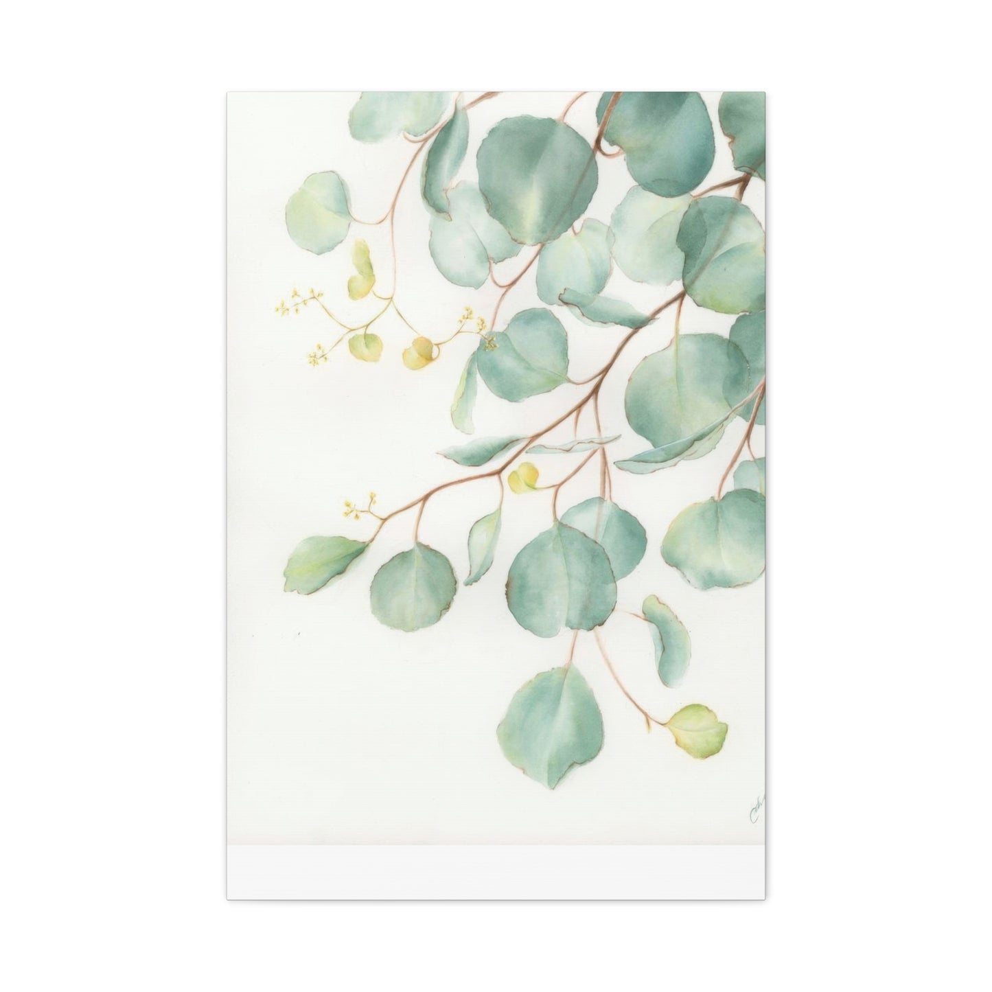 Eucalyptus Creeping Top Down Right Wall Art & Canvas Prints