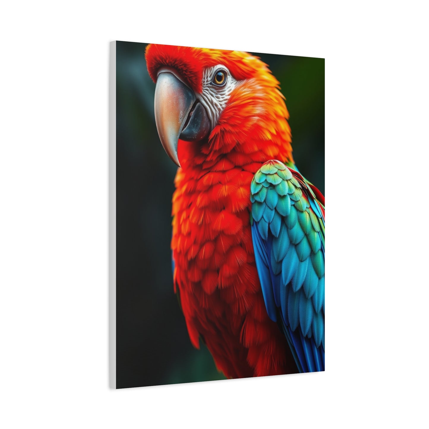 Supreme Tropical Birds Art Collection Wall Art & Canvas Print