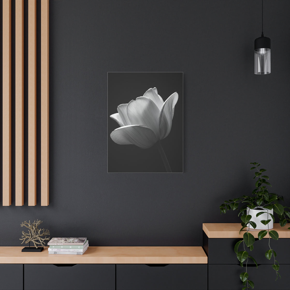 Orchid Symmetry in Black & White Wall Art & Canvas Prints