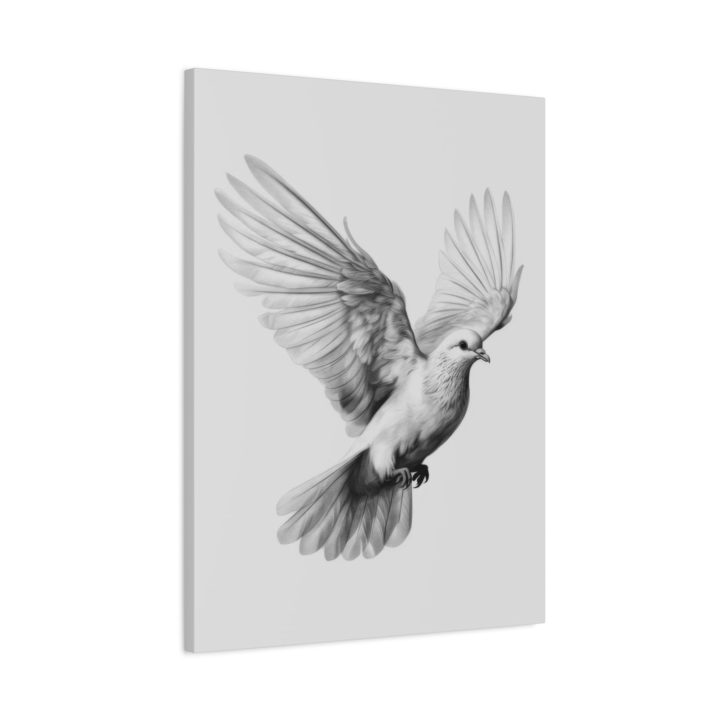 Dove Grey Wall Art & Canvas Prints