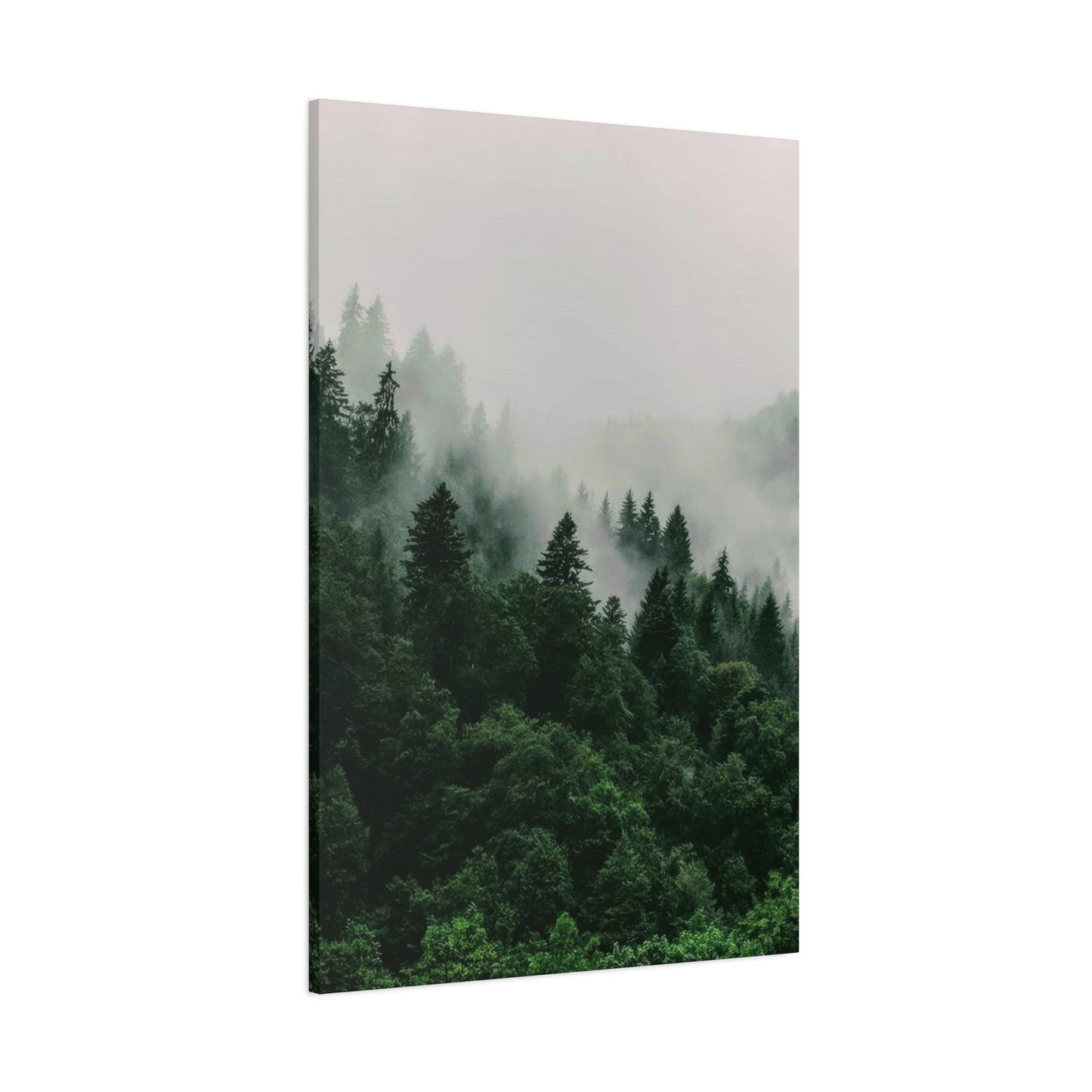 Green Lush Forest Wall Art & Canvas Prints