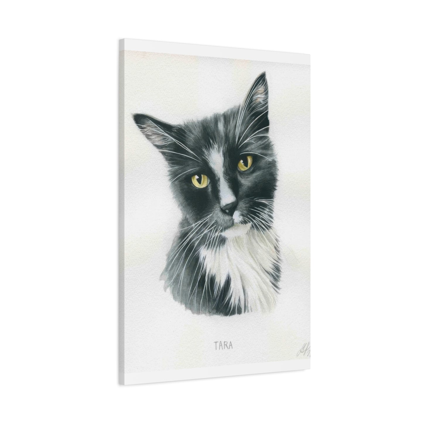 Grace Popp Tara The Cat Wall Art & Canvas Prints