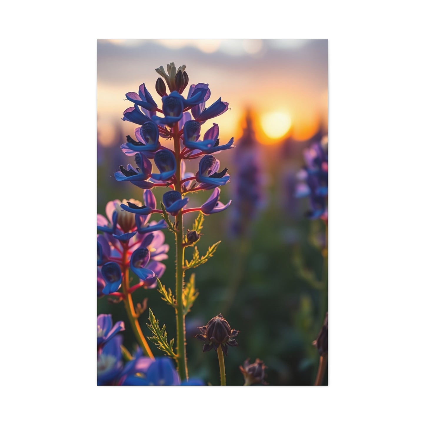 Vision Bluebonnet Flower Art Art Wall Art & Canvas Print