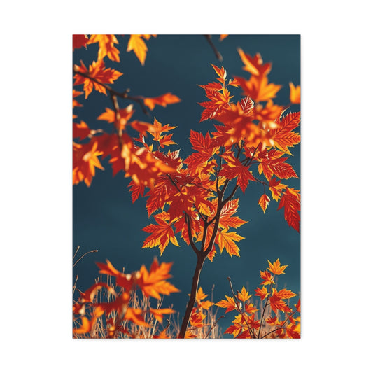 Amber Serenity Panorama