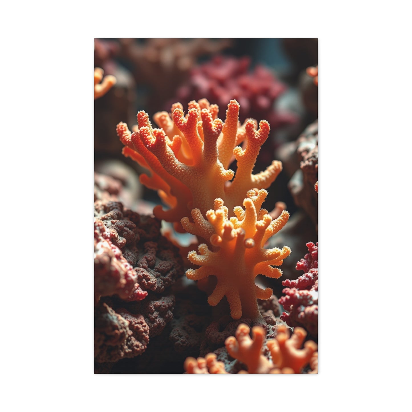 Coral Art Supreme Gallery Wall Art & Canvas Print