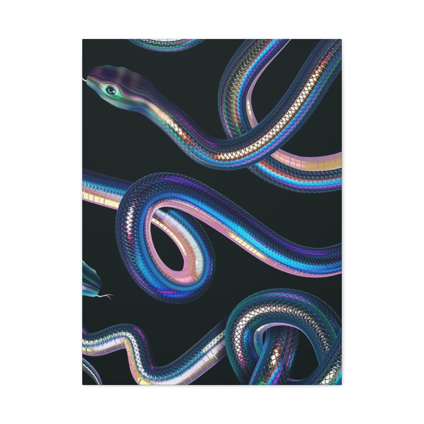 Snake On Black Canvas Wall Art & Canvas Prints