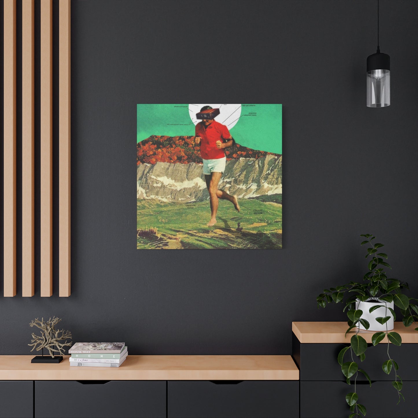 Frank Moth Sheeprunner Wall Art & Canvas Prints