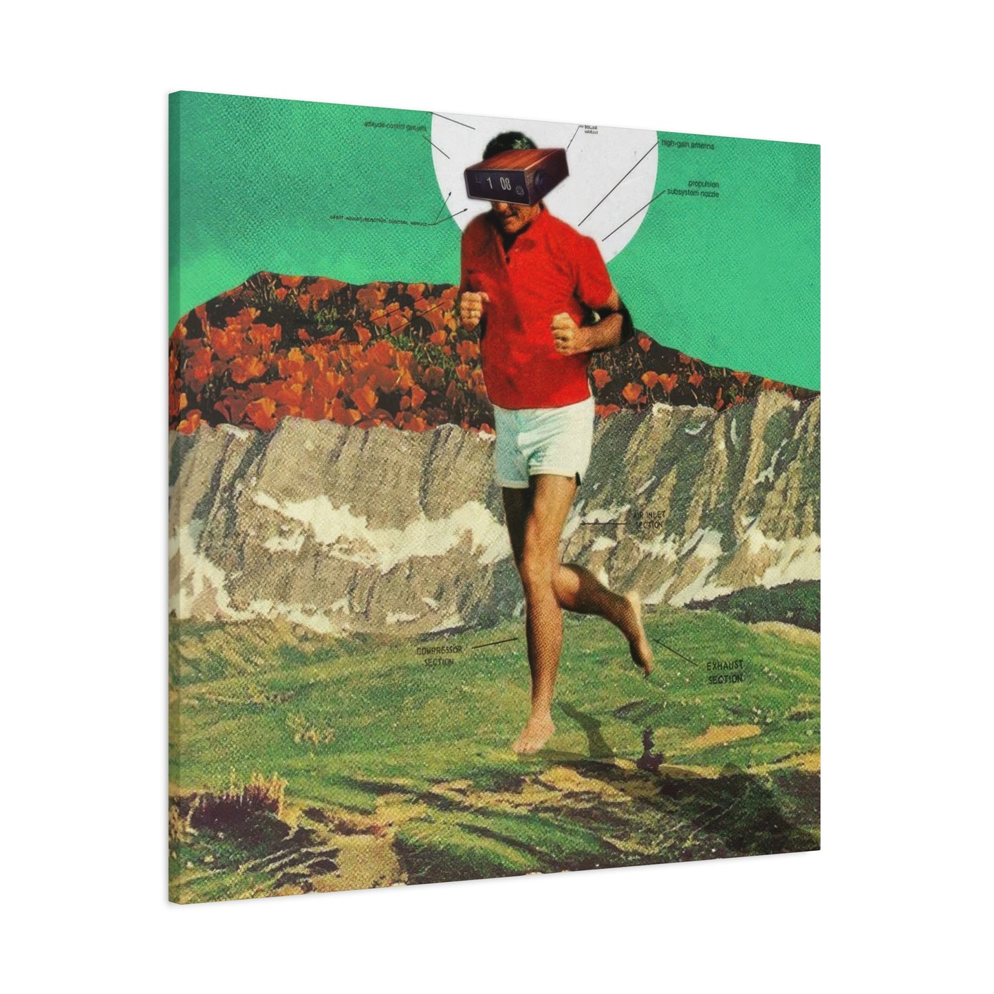Frank Moth Sheeprunner Wall Art & Canvas Prints