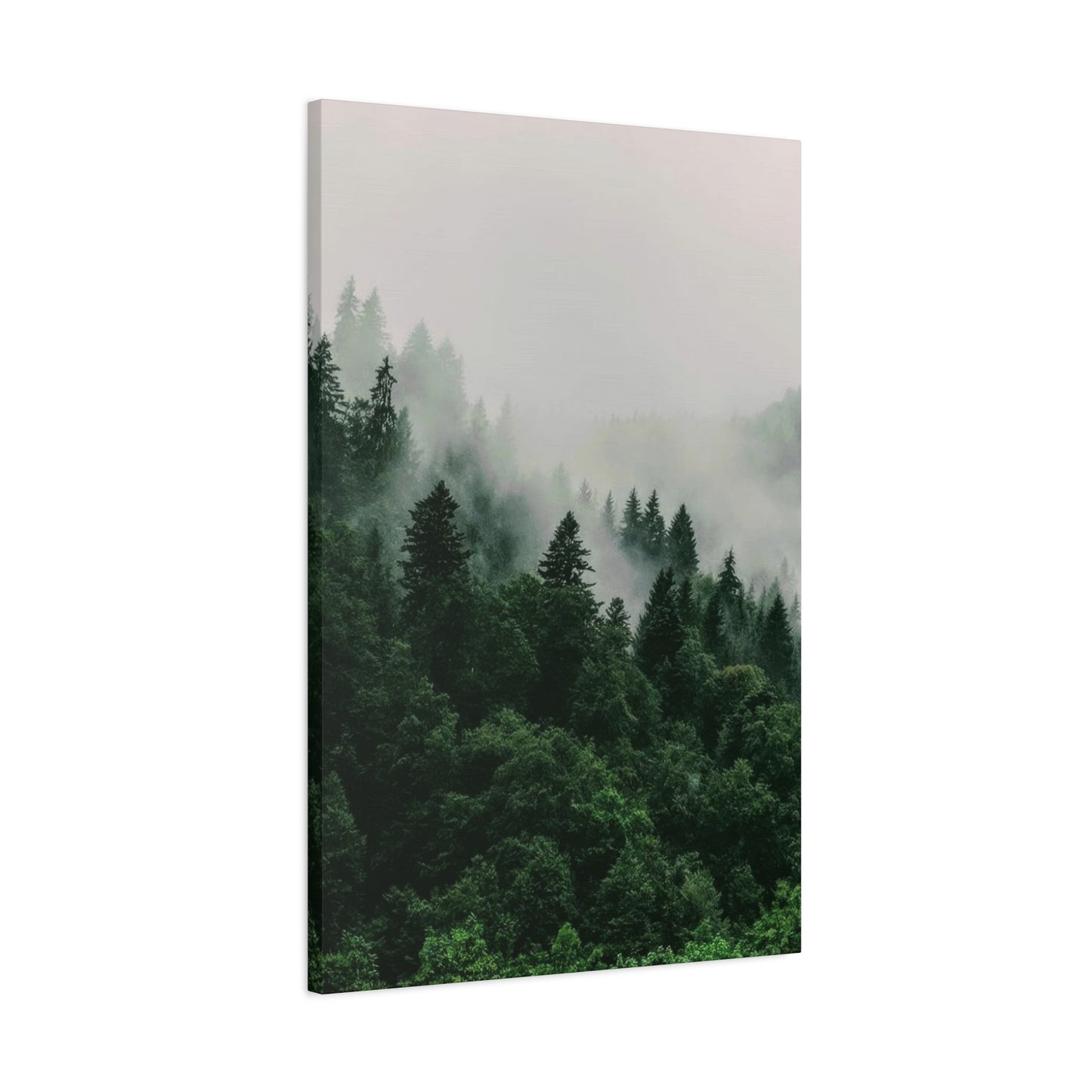 Green Lush Forest Wall Art & Canvas Prints