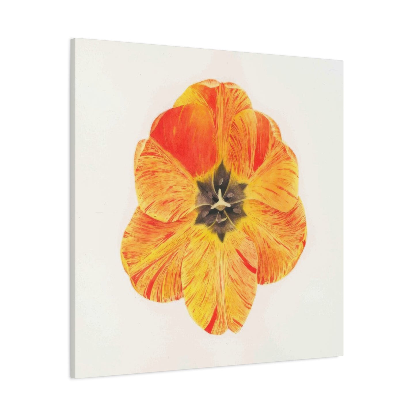 Grace Popp Orange Flower Head Wall Art & Canvas Prints