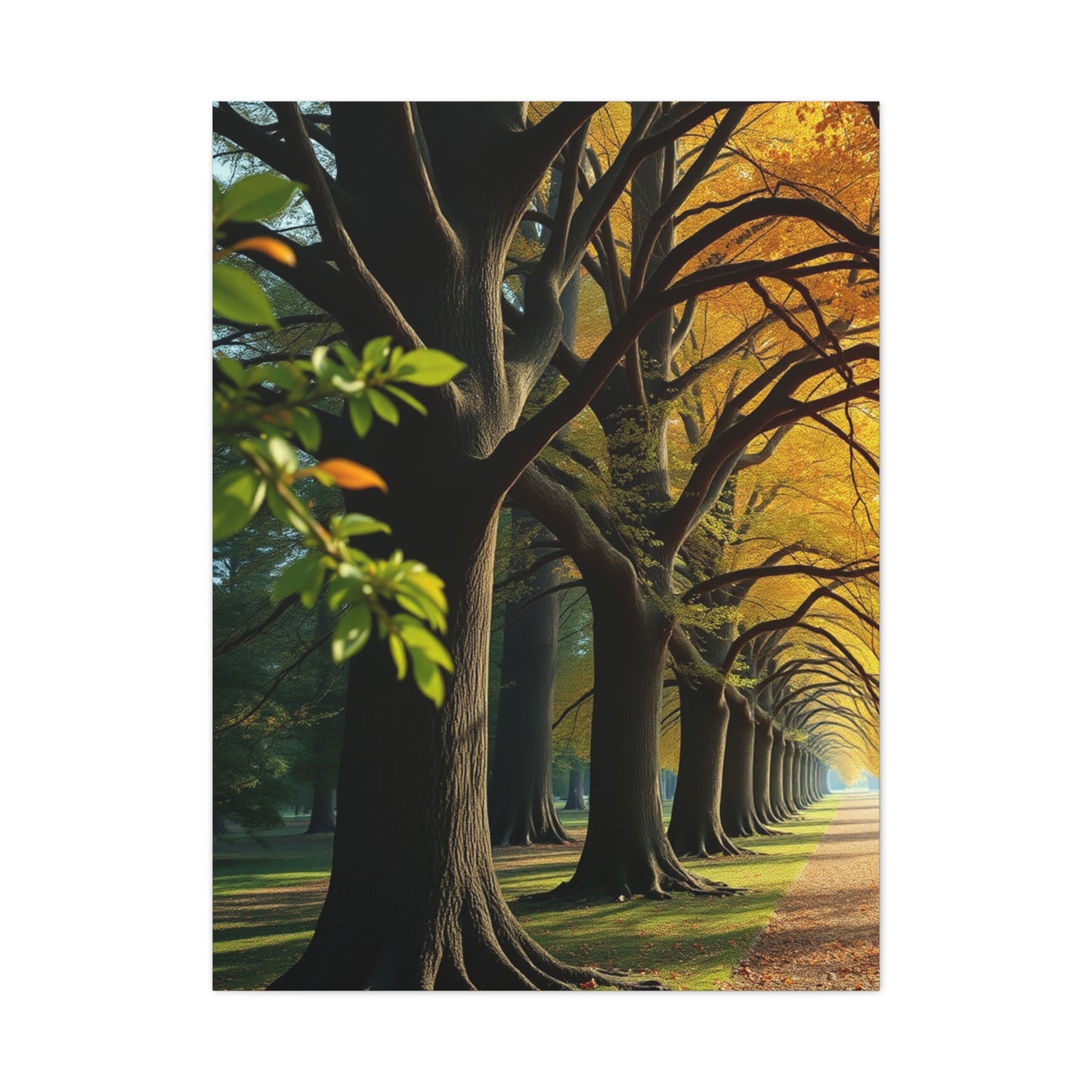 Supreme Trees Wall Art Collection Wall Art & Canvas Print