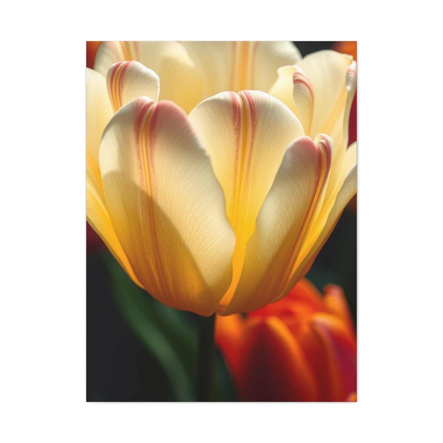 Collection Tulip Flower Art Art Wall Art & Canvas Print