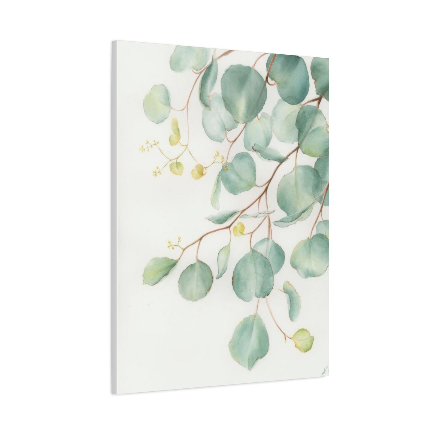 Eucalyptus Creeping Top Down Right Wall Art & Canvas Prints