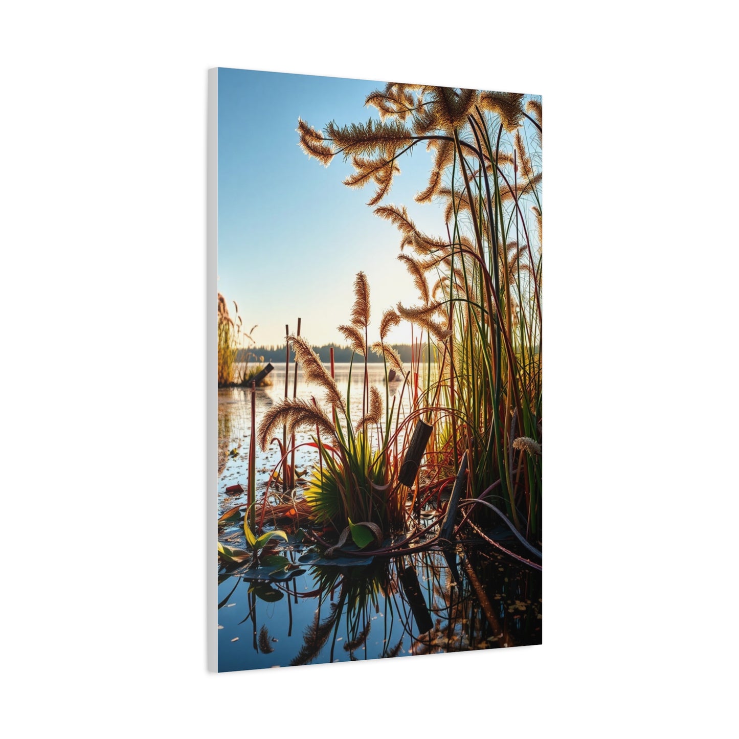 Vision Marsh & Swamp Art Art Wall Art & Canvas Print