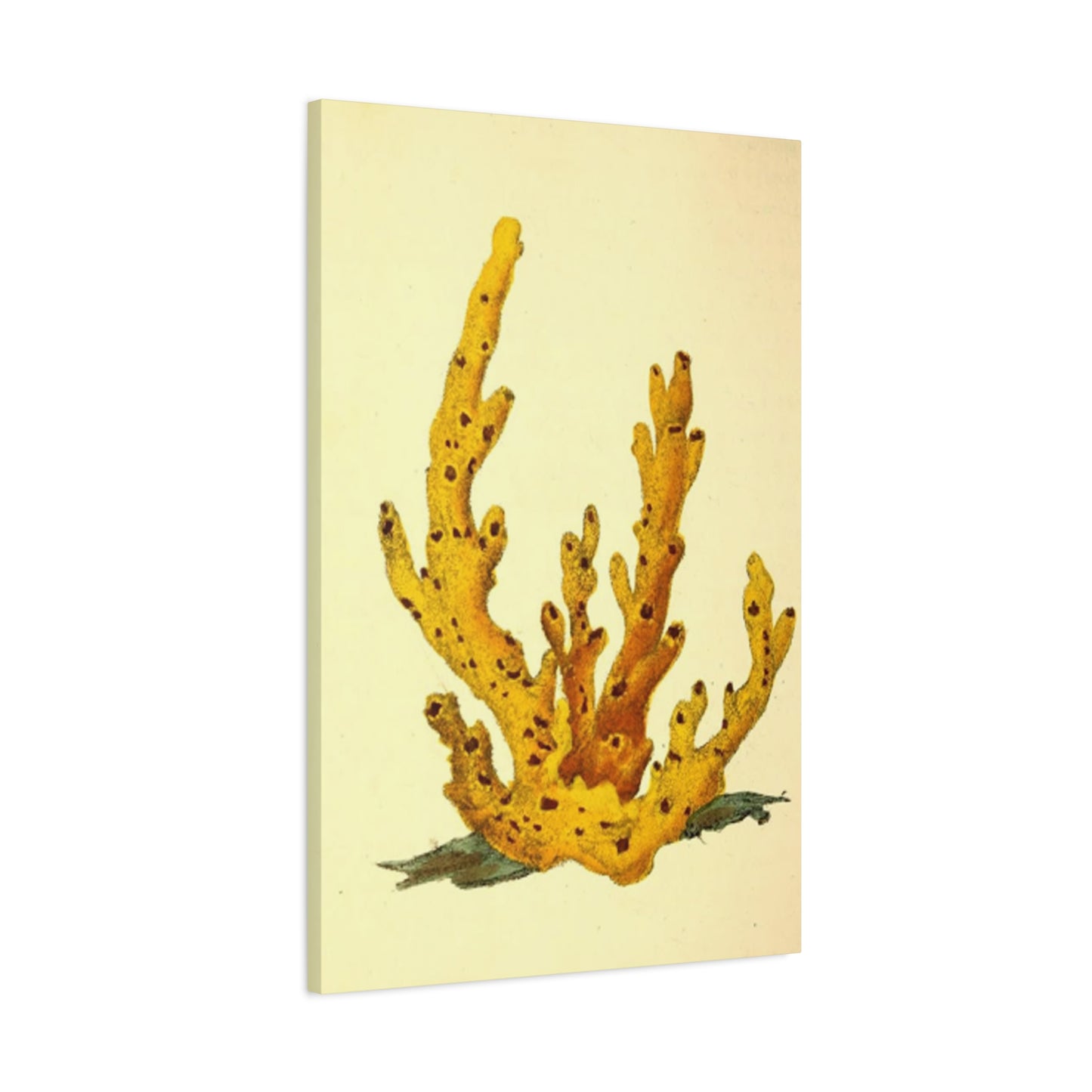 Yellow Shell Stem Painting Wall Art & Canvas Prints