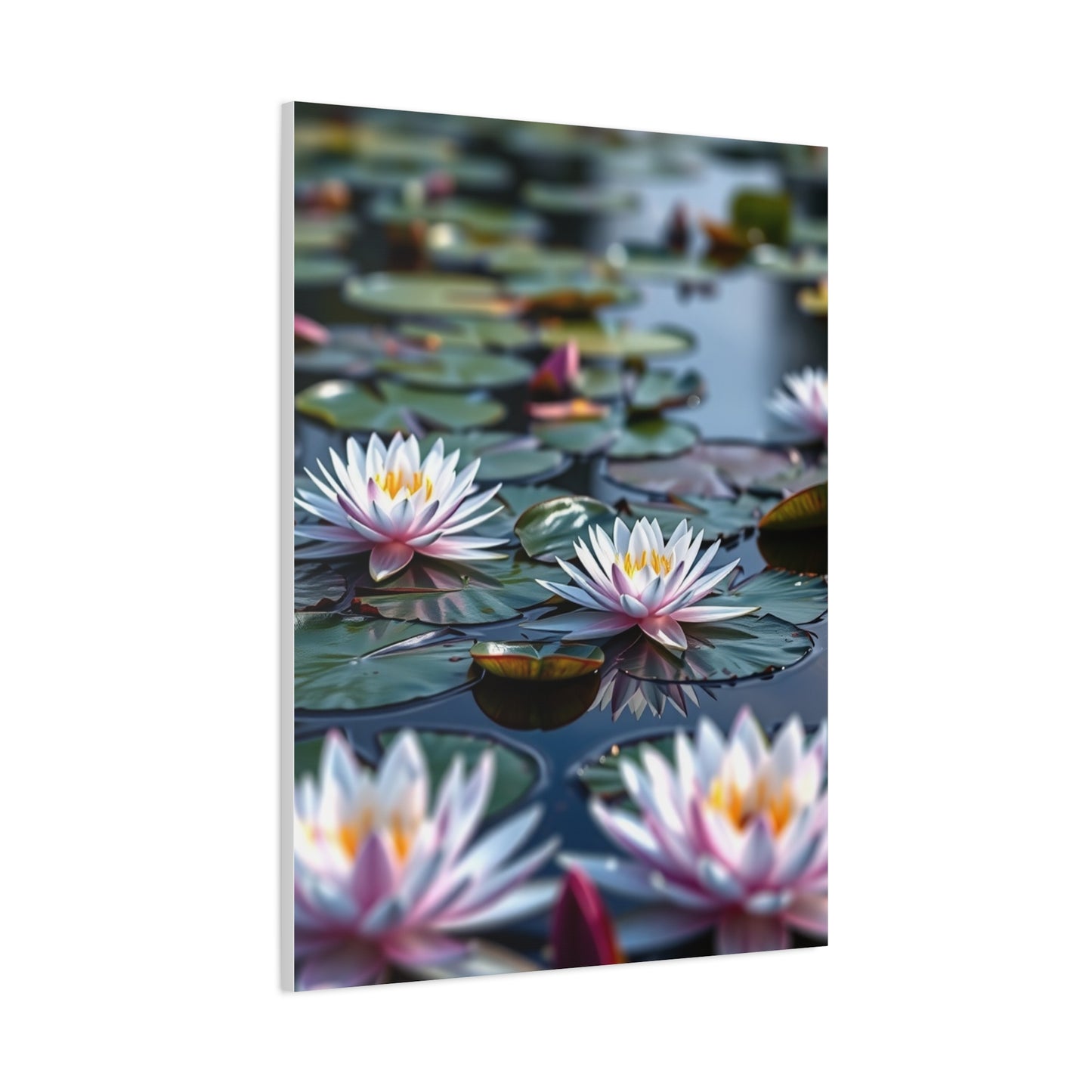 Elite Claude Monet Water Lilies Art Vision Wall Art & Canvas Print