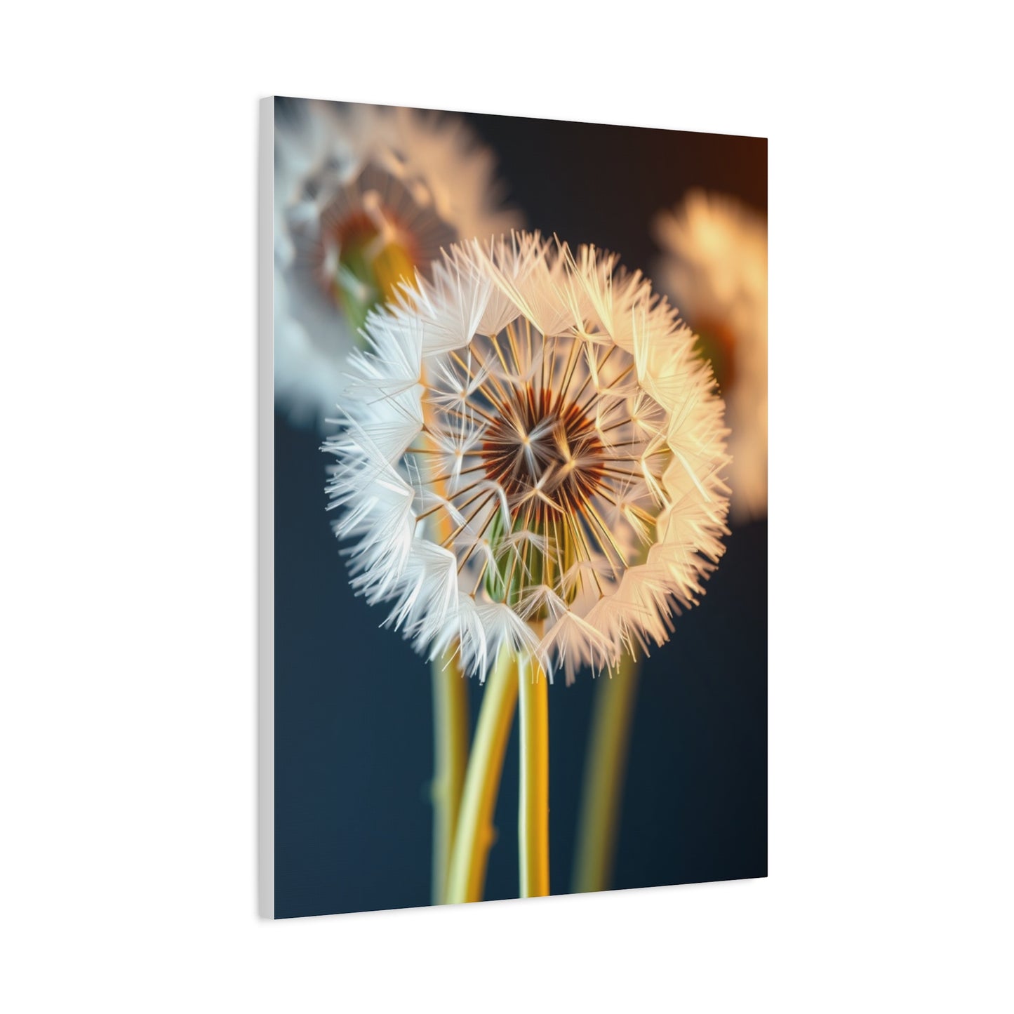Dandelion Flower Art Luxury Canvas Wall Art & Canvas Print