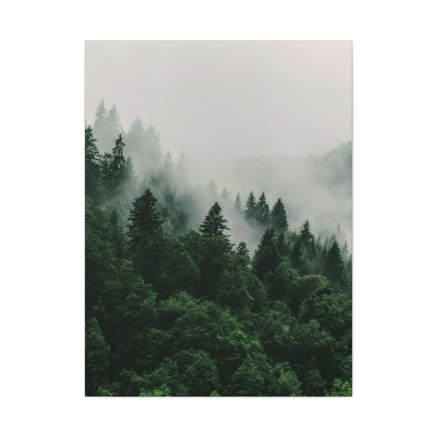 Green Lush Forest Wall Art & Canvas Prints