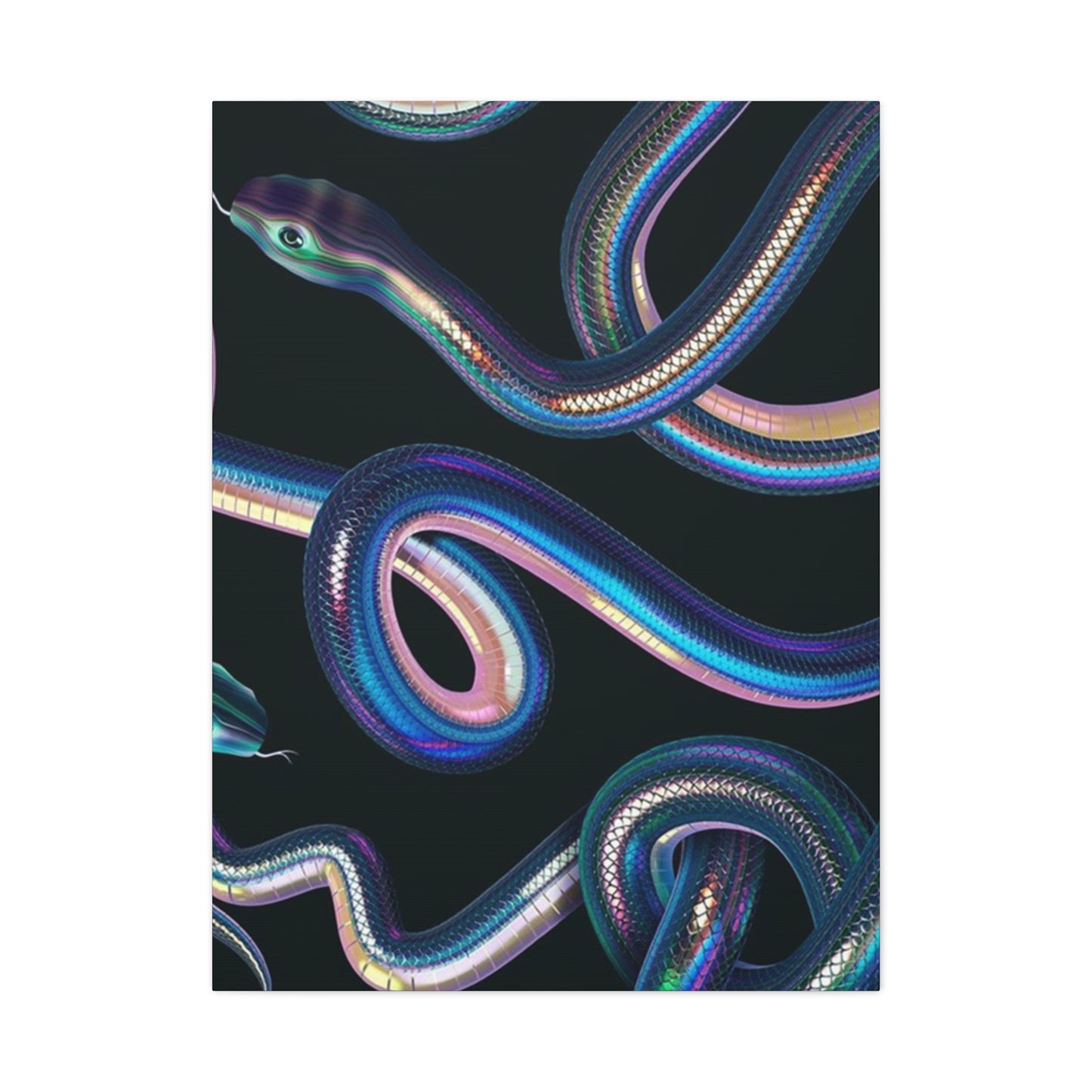 Snake On Black Canvas Wall Art & Canvas Prints