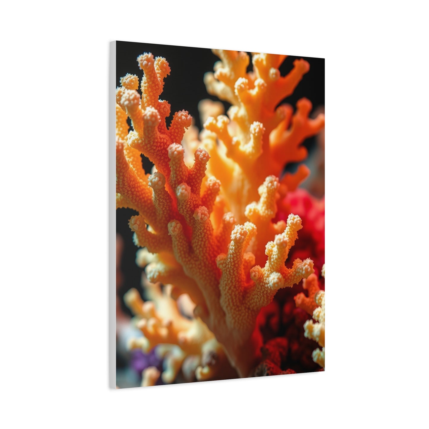 Elite Coral Art Vision Wall Art & Canvas Print