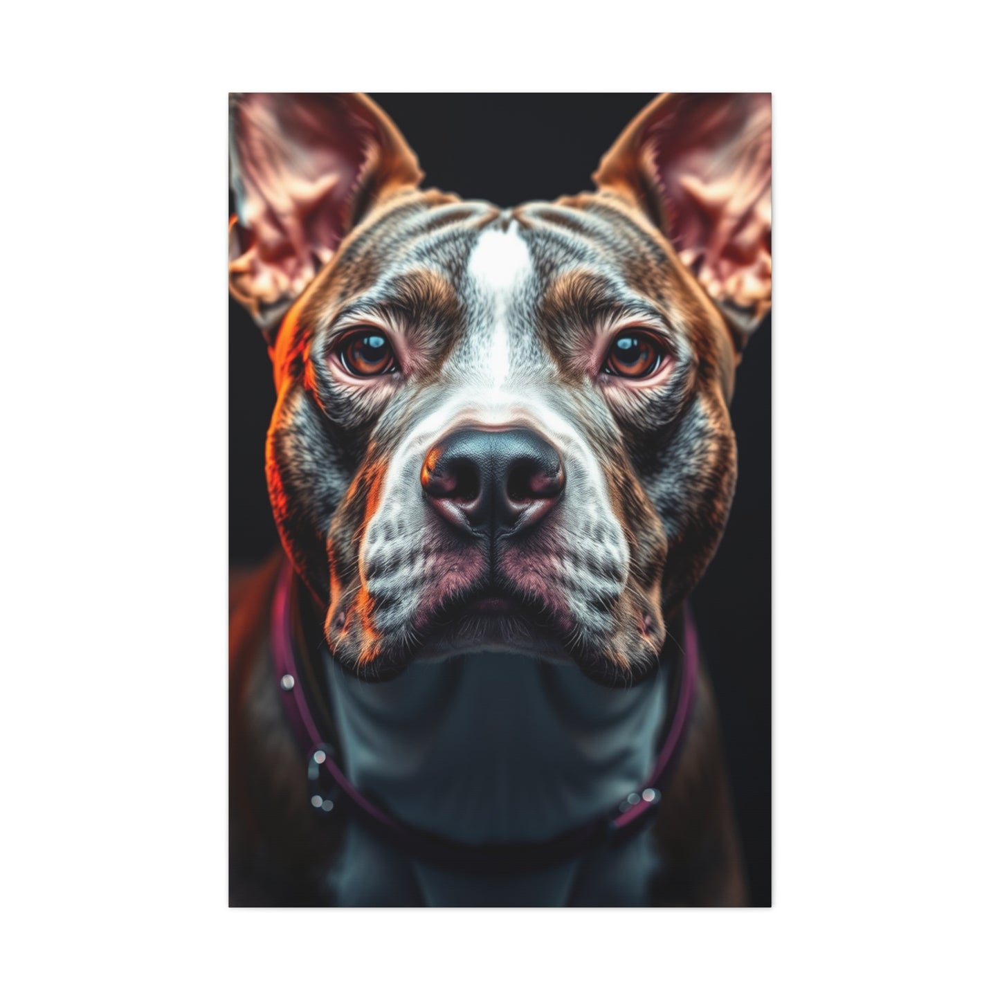 Collection Pit Bull Art Art Wall Art & Canvas Print