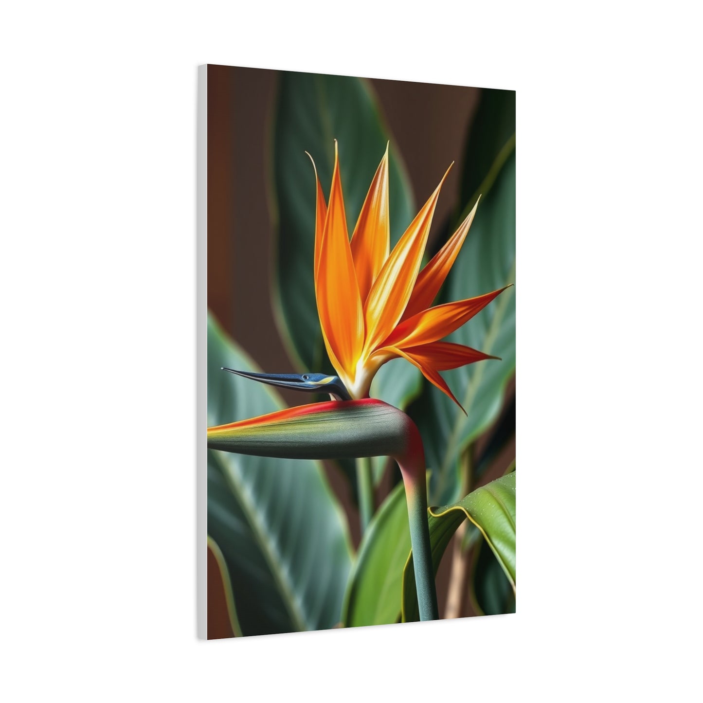 Elite Bird of Paradise Plant Art Vision Wall Art & Canvas Print