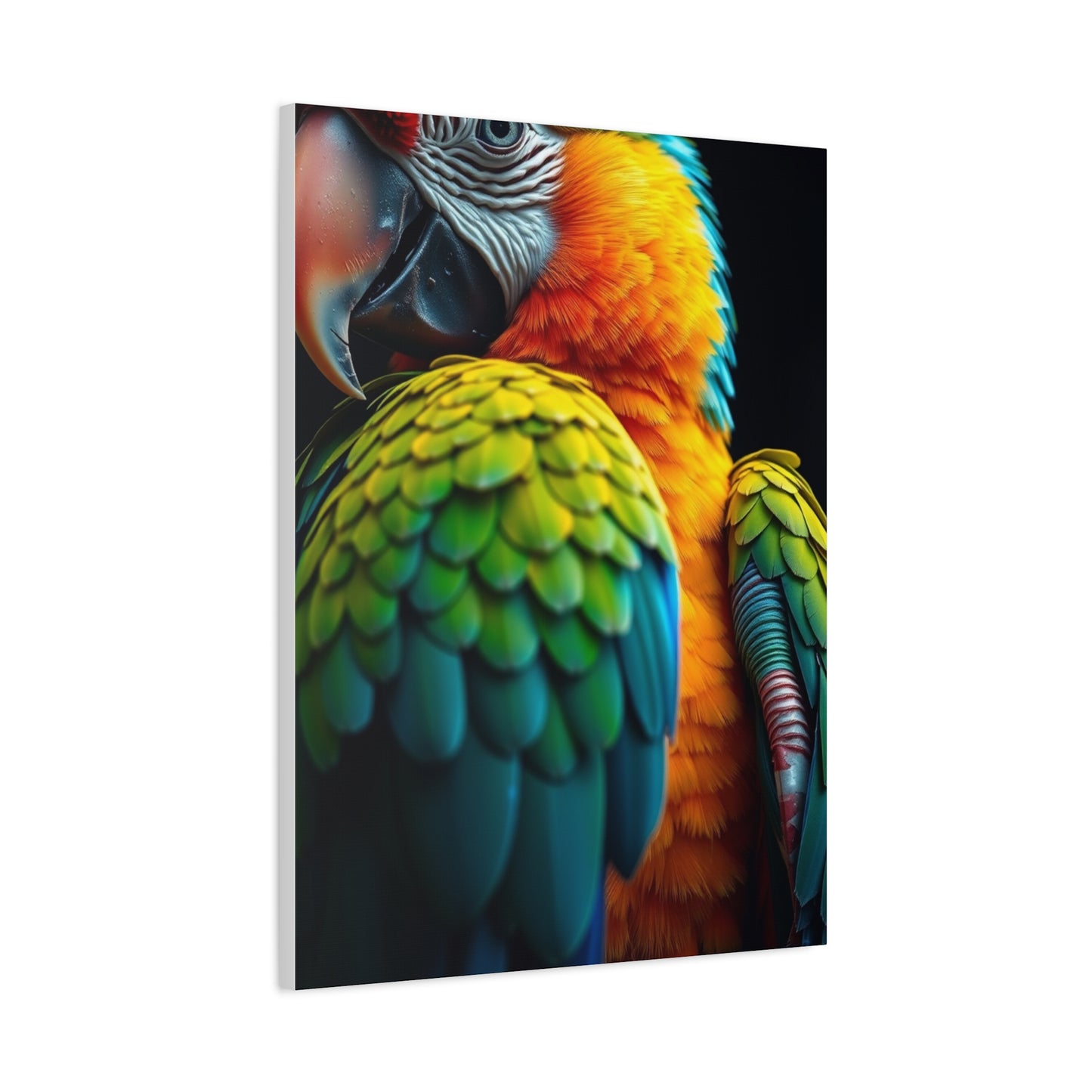 Collection Parrot Art Art Wall Art & Canvas Print