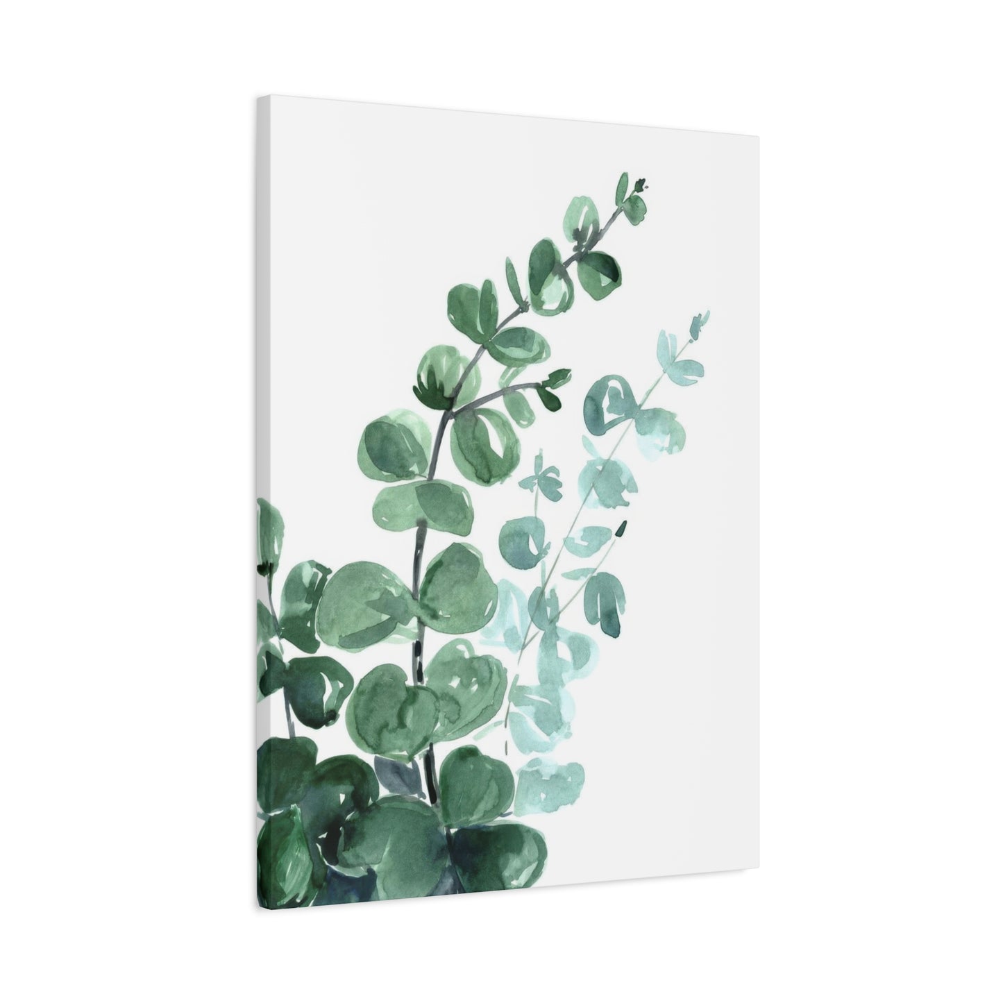Eucalyptus Emerging Bottom Left Wall Art & Canvas Prints