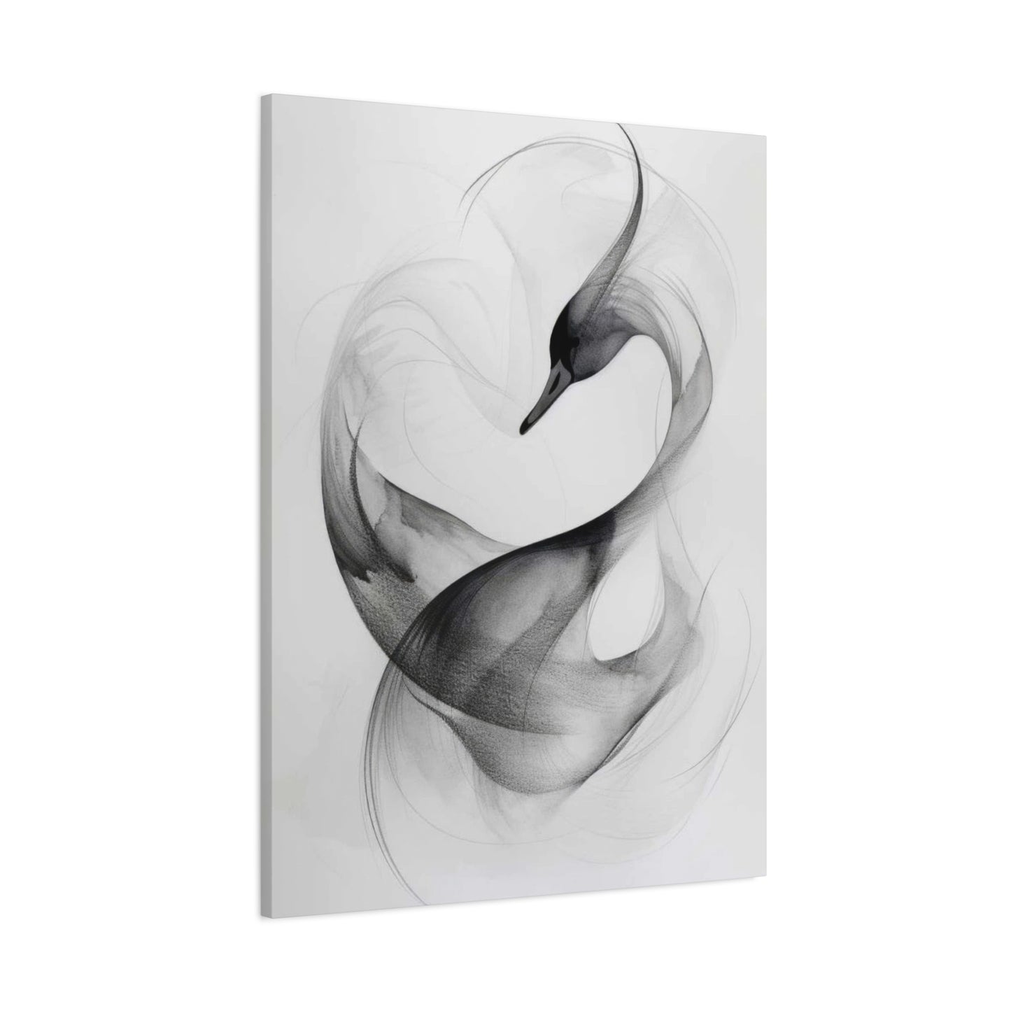 Swan Grey Wall Art & Canvas Prints