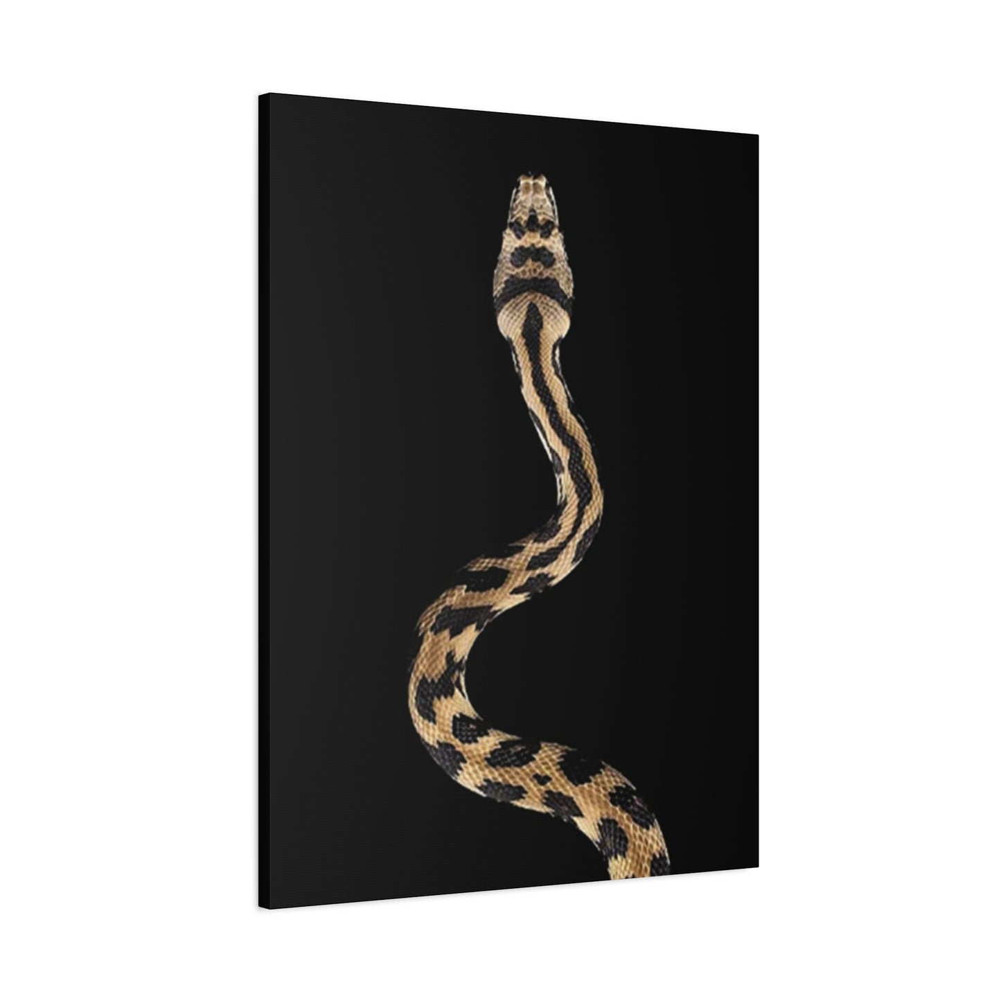 Snake On Poster Wall Art & Canvas Prints