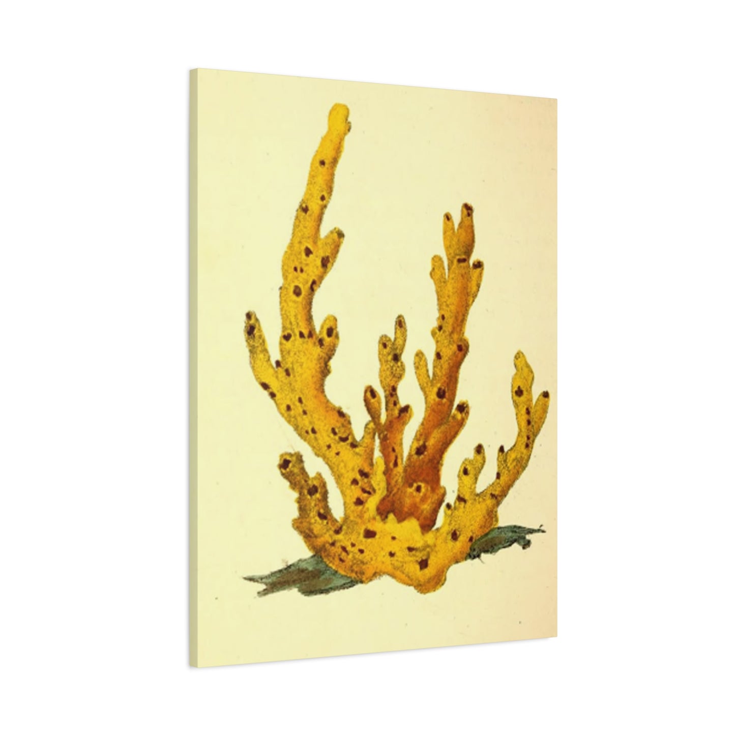 Yellow Shell Stem Painting Wall Art & Canvas Prints
