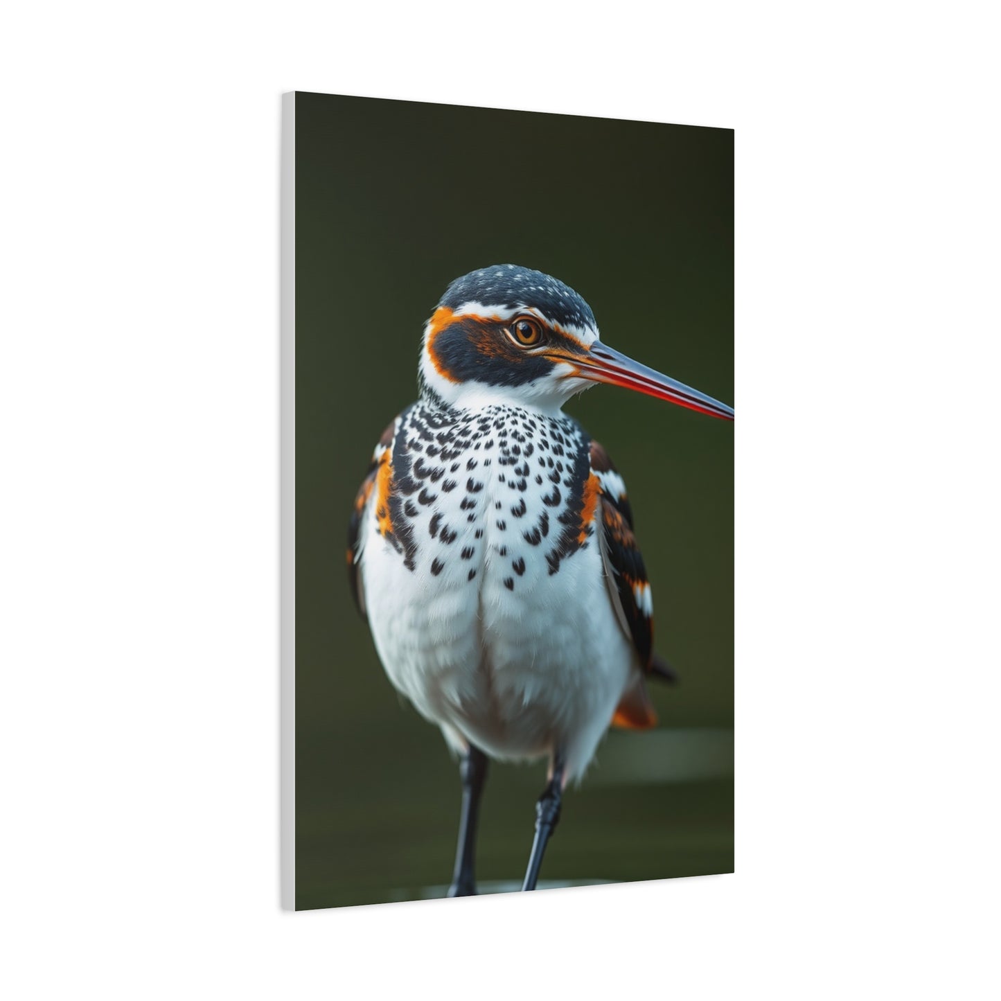 Collection Sandpiper Art Art Wall Art & Canvas Print
