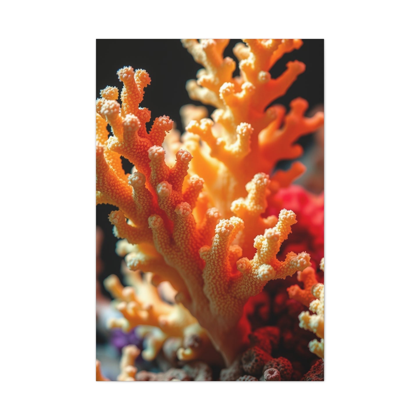 Elite Coral Art Vision Wall Art & Canvas Print